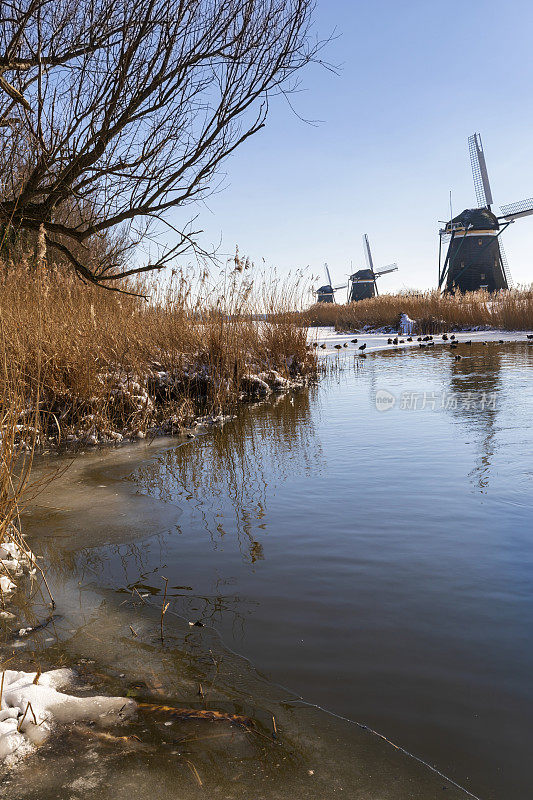 Molendriegang Drie Molens在荷兰海牙附近报道